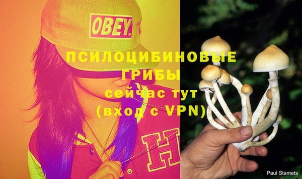 PSILOCYBIN Алексеевка