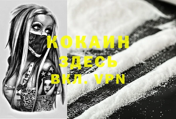шишки Алзамай