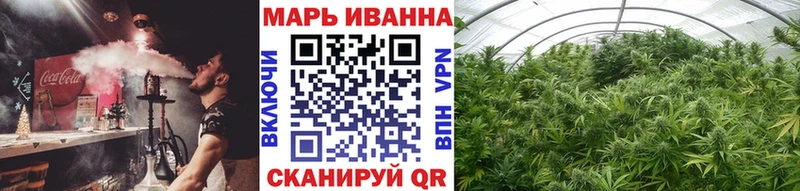 ссылка на мегу как зайти  Приозерск  Шишки марихуана конопля 